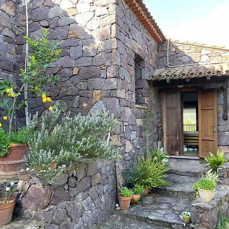 Al Mare Nella Natura Selvaggia Nyaraló *