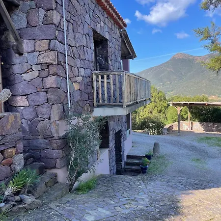 Al Mare Nella Natura Selvaggia *